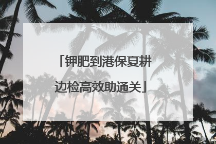 钾肥到港保夏耕 边检高效助通关