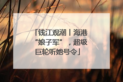 钱江观潮丨海港“娘子军”，超级巨轮听她号令