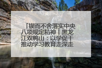 锲而不舍落实中央八项规定精神丨黑龙江双鸭山：以学促干推动学习教育走深走实 从小事入手写好“民生答卷”