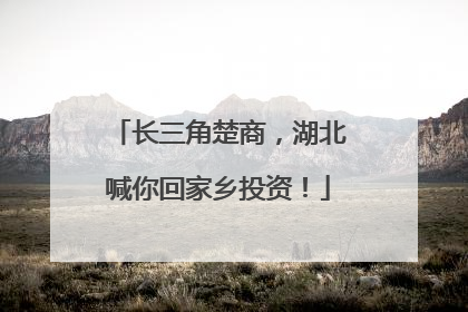 长三角楚商，湖北喊你回家乡投资！