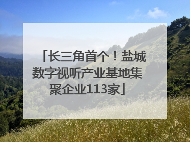 长三角首个！盐城数字视听产业基地集聚企业113家