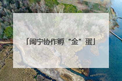 闽宁协作孵“金”蛋