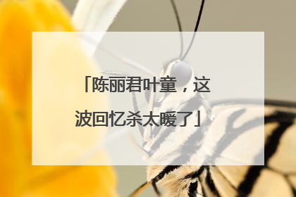 陈丽君叶童，这波回忆杀太暖了