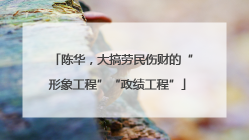 陈华，大搞劳民伤财的“形象工程”“政绩工程”