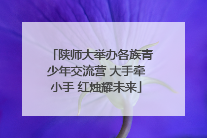 陕师大举办各族青少年交流营 大手牵小手 红烛耀未来