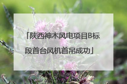 陕西神木风电项目B标段首台风机首吊成功