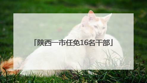 陕西一市任免16名干部
