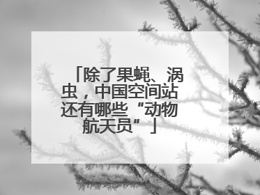 除了果蝇、涡虫，中国空间站还有哪些“动物航天员”