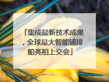 集成最新技术成果，全球最大智能铺排船亮相上交会