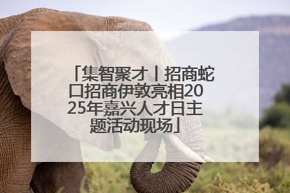 集智聚才丨招商蛇口招商伊敦亮相2025年嘉兴人才日主题活动现场