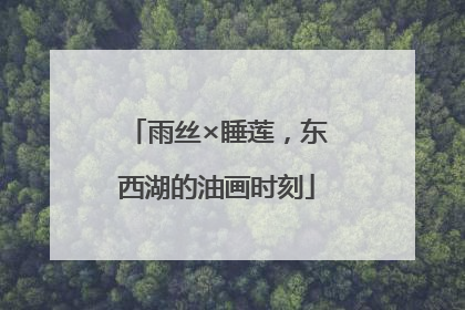 雨丝×睡莲，东西湖的油画时刻