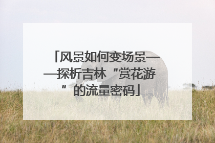 风景如何变场景——探析吉林“赏花游”的流量密码
