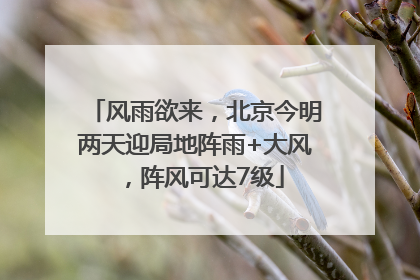 风雨欲来，北京今明两天迎局地阵雨+大风，阵风可达7级