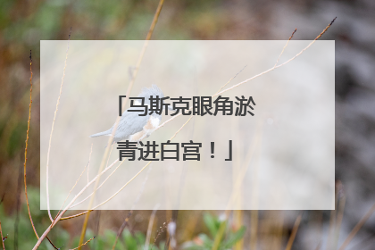 马斯克眼角淤青进白宫！