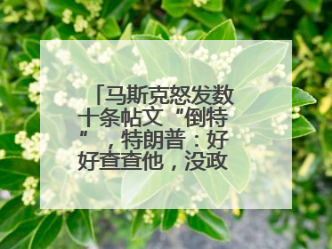 马斯克怒发数十条帖文“倒特”，特朗普：好好查查他，没政府补贴他“早回南非老家”了