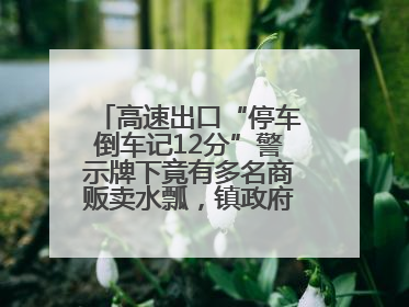 高速出口“停车倒车记12分”警示牌下竟有多名商贩卖水瓢，镇政府：系流动摊位，已多次劝离
