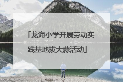 龙海小学开展劳动实践基地拔大蒜活动