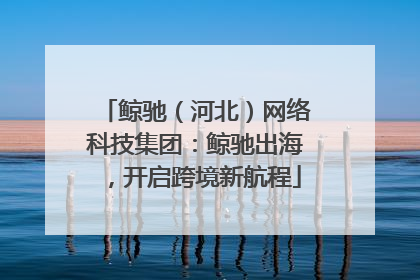 鲸驰（河北）网络科技集团：鲸驰出海，开启跨境新航程