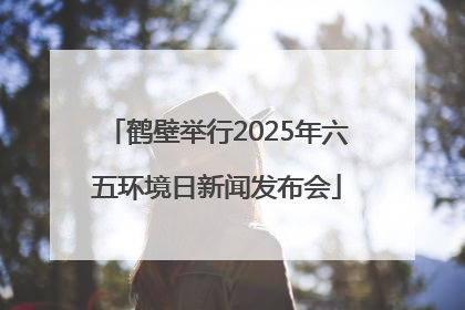 鹤壁举行2025年六五环境日新闻发布会