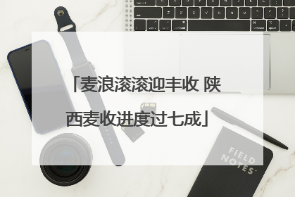 麦浪滚滚迎丰收 陕西麦收进度过七成
