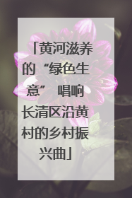 黄河滋养的“绿色生意” 唱响长清区沿黄村的乡村振兴曲