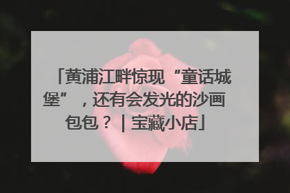 黄浦江畔惊现“童话城堡”，还有会发光的沙画包包？｜宝藏小店