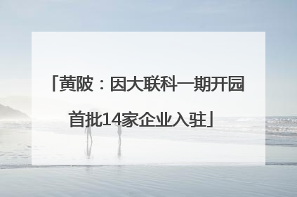 黄陂：因大联科一期开园 首批14家企业入驻
