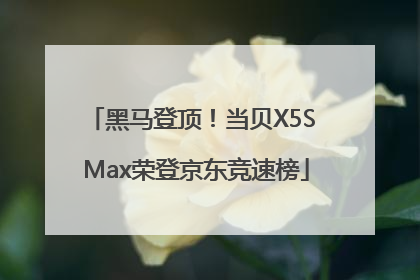 黑马登顶！当贝X5S Max荣登京东竞速榜