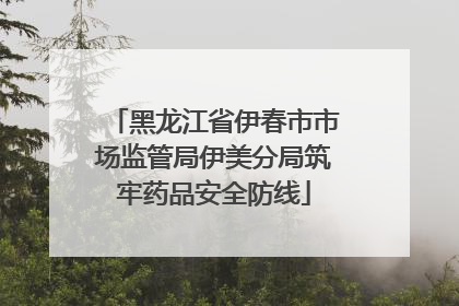 黑龙江省伊春市市场监管局伊美分局筑牢药品安全防线