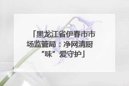 黑龙江省伊春市市场监管局：净网清厨 “味”爱守护