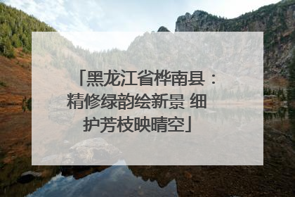 黑龙江省桦南县：精修绿韵绘新景 细护芳枝映晴空