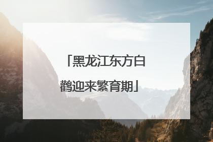 黑龙江东方白鹳迎来繁育期