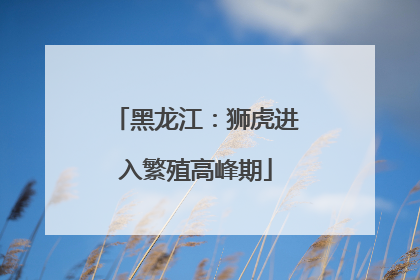 黑龙江：狮虎进入繁殖高峰期