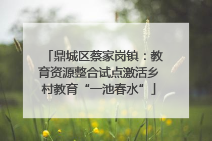 鼎城区蔡家岗镇：教育资源整合试点激活乡村教育“一池春水”