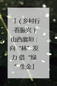（乡村行·看振兴）山西襄垣：向“林”发力 借“绿”生金