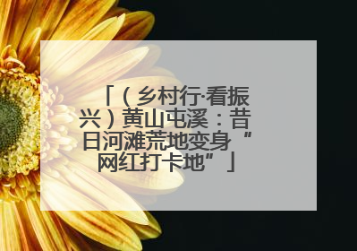 （乡村行·看振兴）黄山屯溪：昔日河滩荒地变身“网红打卡地”