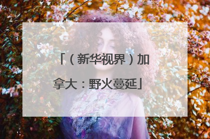 （新华视界）加拿大：野火蔓延