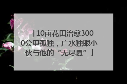 10亩花田治愈3000公里孤独，广水独眼小伙与他的“无尽夏”