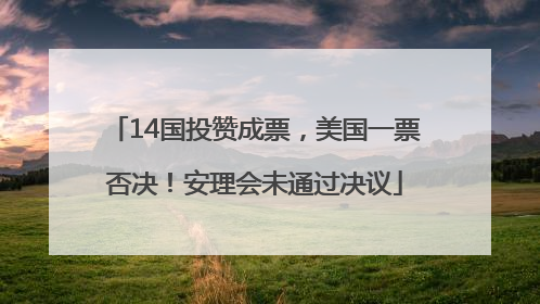 14国投赞成票，美国一票否决！安理会未通过决议
