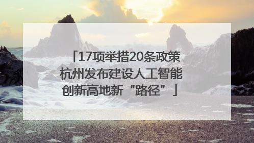 17项举措20条政策 杭州发布建设人工智能创新高地新“路径”
