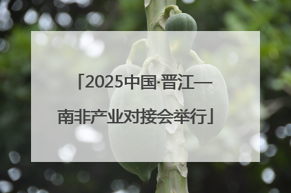 2025中国·晋江—南非产业对接会举行
