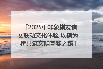 2025中非象棋友谊赛联动文化体验 以棋为桥共筑文明互鉴之路