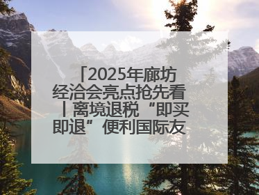 2025年廊坊经洽会亮点抢先看丨离境退税“即买即退”便利国际友人“买买买”