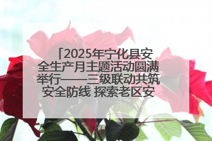 2025年宁化县安全生产月主题活动圆满举行——三级联动共筑安全防线 探索老区安全发展新路径