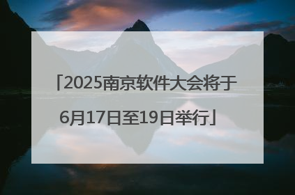 2025南京软件大会将于6月17日至19日举行