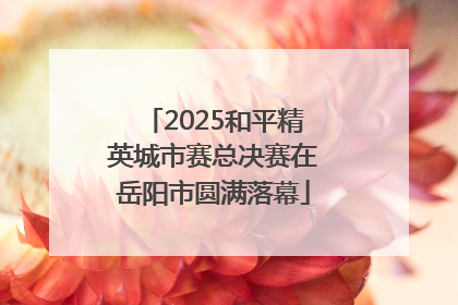 2025和平精英城市赛总决赛在岳阳市圆满落幕