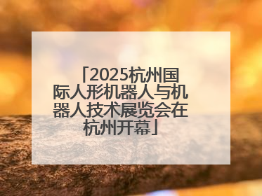 2025杭州国际人形机器人与机器人技术展览会在杭州开幕