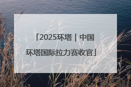 2025环塔｜中国环塔国际拉力赛收官