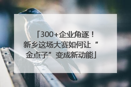 300+企业角逐！新乡这场大赛如何让“金点子”变成新动能