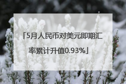 5月人民币对美元即期汇率累计升值0.93%